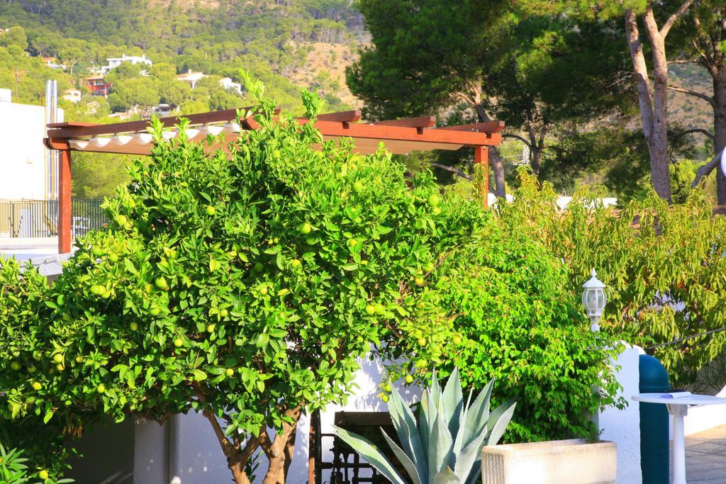 Villa Columbus Family Boutique Hotel Peguera Exterior photo